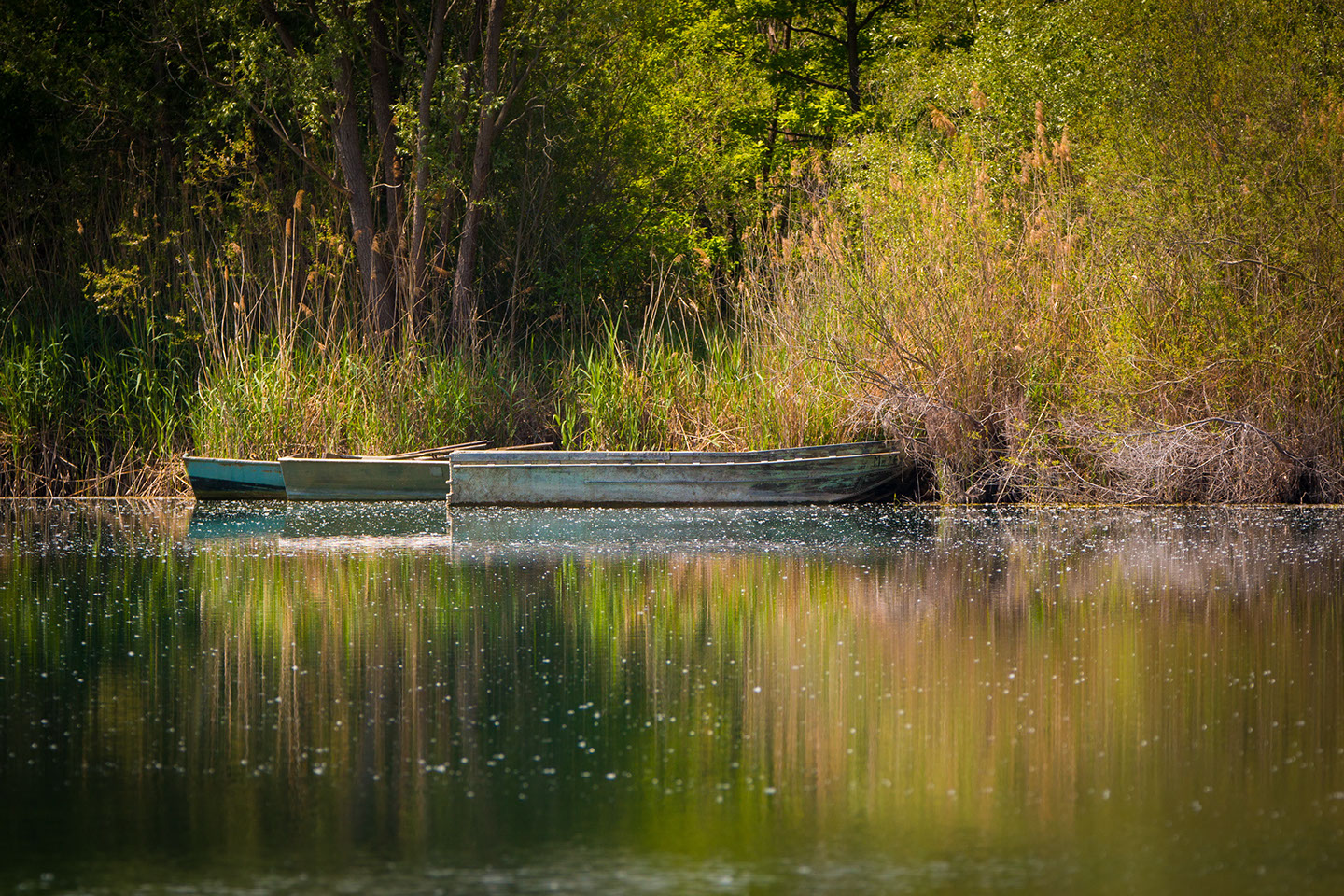 Canoes and Kayaks on Kings River