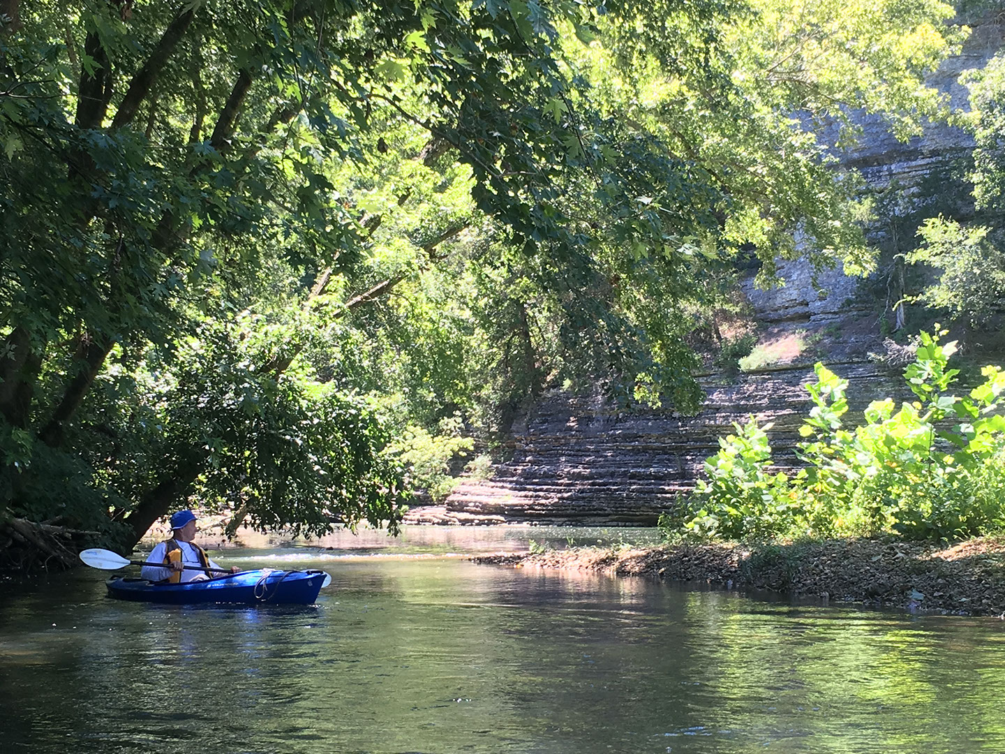 Kings River Stream Corridor