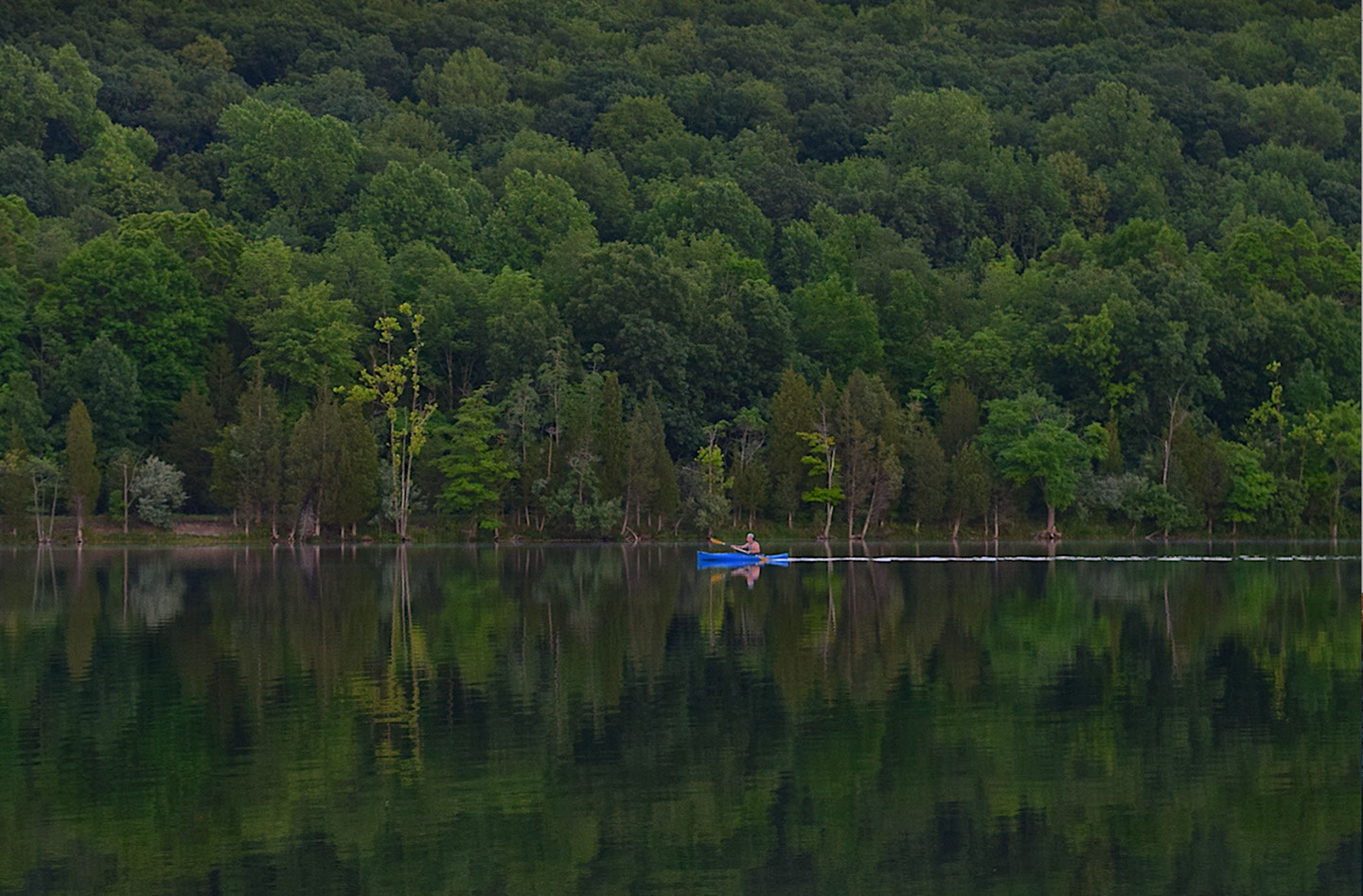 Kayaking on Kings River