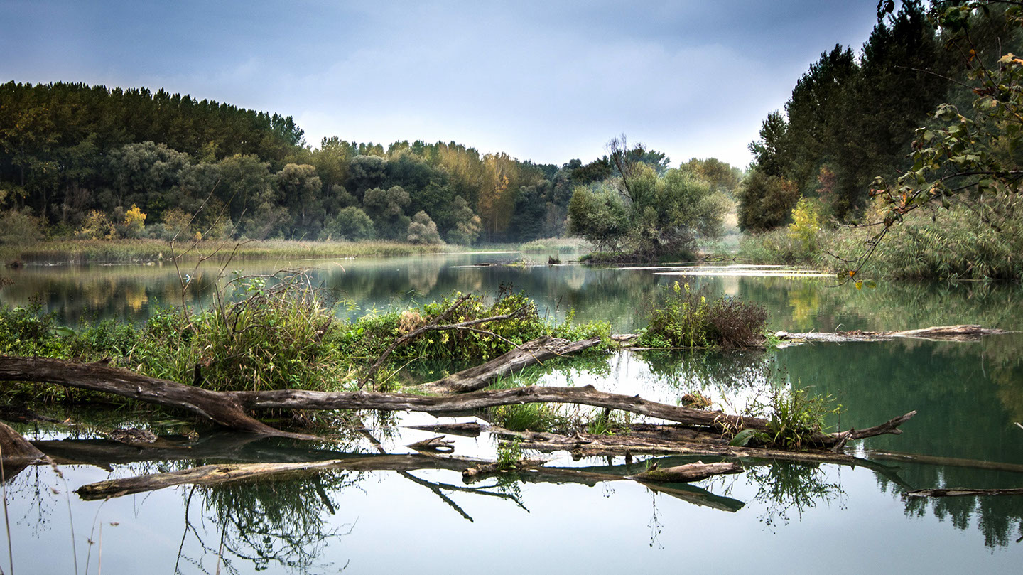 Kings River Watershed